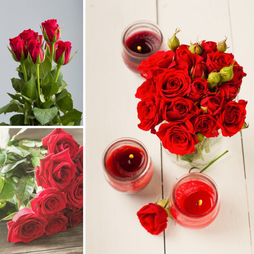 Bouquet de Roses rouges - Une fleur m'a dit