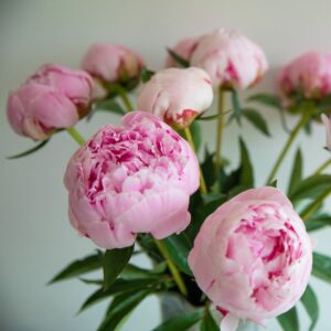 Bouquet de Pivoine - Une Fleur m'a dit - Fleuriste Samoens
